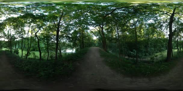 360Vr Video Dirt Road in the Dense Park Spherical Panorama Soft Evening Light is shining Through the Trees Branches Summer Time Opole Poland — стоковое видео