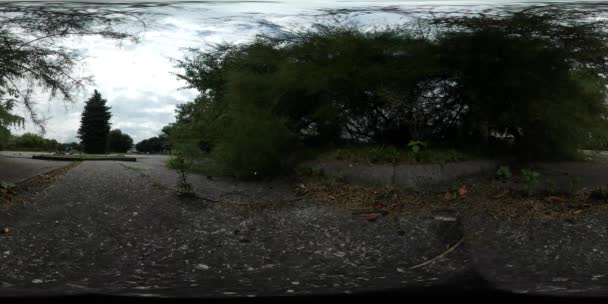 360Vr Vídeo Pessoas caminhando por Park Alley Crepúsculo esférico Panorama Folhas secas Grama verde Plantas exuberantes Plantas verdes Pedestres de árvores de abeto em um horizonte Verão nublado — Vídeo de Stock