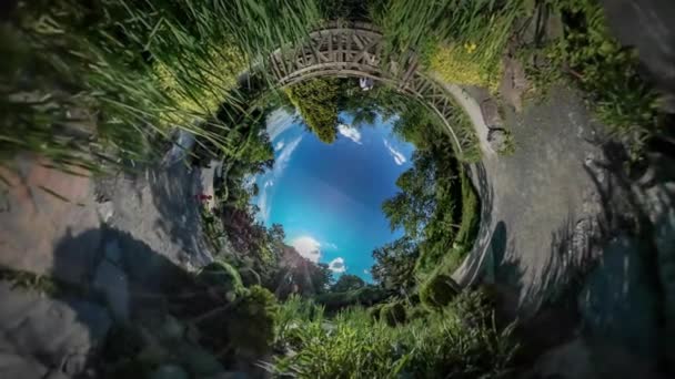 360vr Video otec a rodina dítě v rodině Botanic Garden Park chůze mezi rostliny hrají, rozhlédl se kolem sebe krajinu výzdoba mostu kameny svěží zelené stromy — Stock video