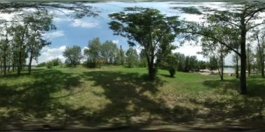 Grove orman Bolko gölde Opole Backpacker tarafından yeşil çim taze ağaç cennet yaz günü gölgeler üzerinde yürüyen ağaçlar güneşli Mavi gökyüzünden 360vr Video adam