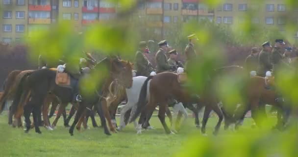 Στρατιωτική ιππασία αλόγων σε ηλιόλουστη καλοκαιρινή μέρα στο πάρκο της πόλης — Αρχείο Βίντεο