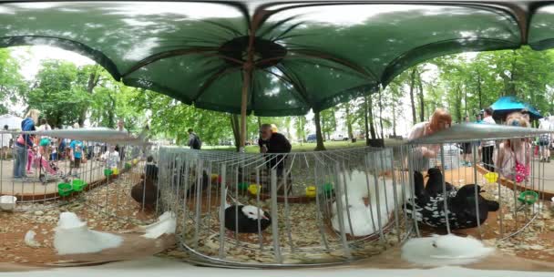 360vr відео людей курей у клітки сімейний пікнік день Ополе парку влітку сонячний день екскурсія людей діти дивляться на птахів цікавістю сімей в зоопарку Prospect — стокове відео