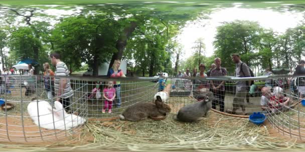 360Vr Vídeo Coelhos em gaiolas Pessoas Família Dia de piquenique Opole Verão Dia ensolarado As pessoas estão olhando para animais em gaiolas Famílias Crianças estudando os animais — Vídeo de Stock