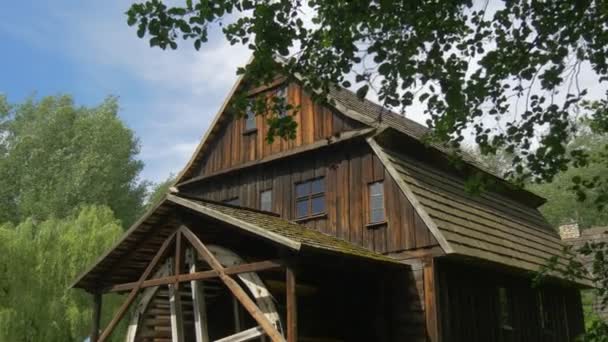 Maison en bois dans la forêt par une journée ensoleillée — Video