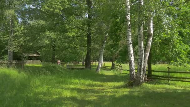 Několik lidí, kteří jdou poblíž oplocený trávník — Stock video