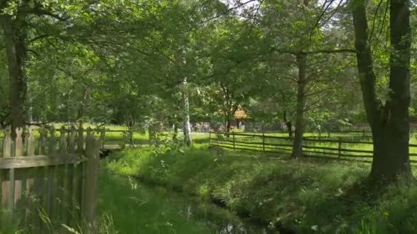 Pradera vallada, arroyo en el parque y el puente sobre ella — Vídeo de stock