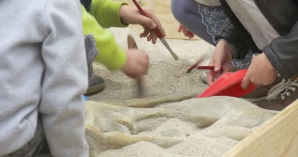 Två flickor och två små pojkar spelar i en sandlåda i varm höstdag — Stockvideo