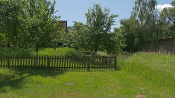 Древний дом с березами за забором — стоковое видео