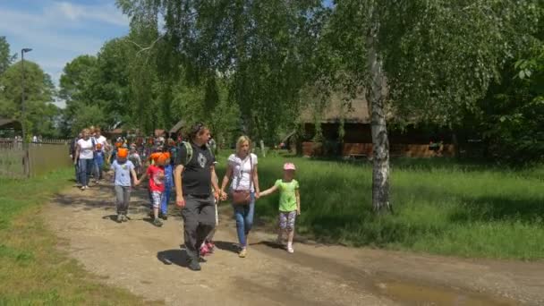 Escursione dei bambini delle scuole elementari in una giornata estiva soleggiata — Video Stock