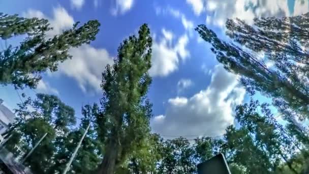 Kanin hål Planet 360 graders Avenue Taras Shevchenko prospekt i Kiev bänk i gränd ljusa gröna träd gräsmattor gå människor bilar drivs av vägen — Stockvideo