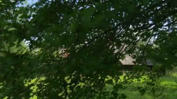 Les chalets sont vus de derrière un arbre . — Video