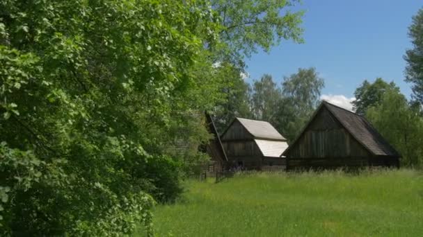 Einfache Holzhäuser auf dem Rasen — Stockvideo