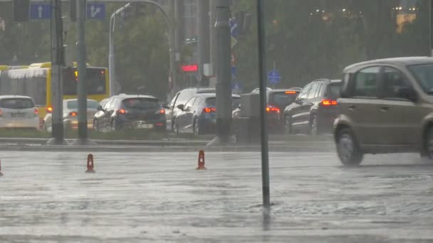 โปแลนด นายน 2016 รถข องในว ฝนตก — วีดีโอสต็อก