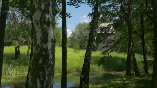 Fjärrvyn om väderkvarnen på en bakgrund av naturen — Stockvideo