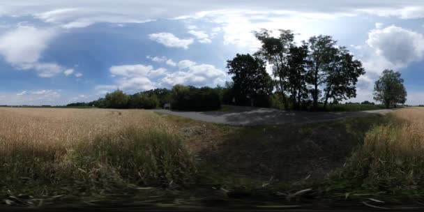 360vr Video Mann in ländlicher Landschaft trockenes Gras Feld Tourist zu Fuß auf der Straße entlang Steppe Sonne scheint Bäume Silhouetten blau bewölkt Himmel sonnig Sommertag — Stockvideo