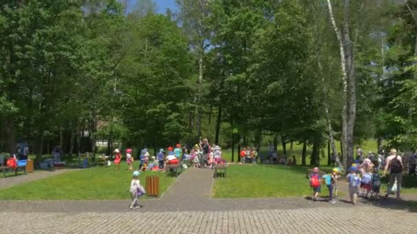 Jardín de infantes en un paseo por el parque . — Vídeo de stock