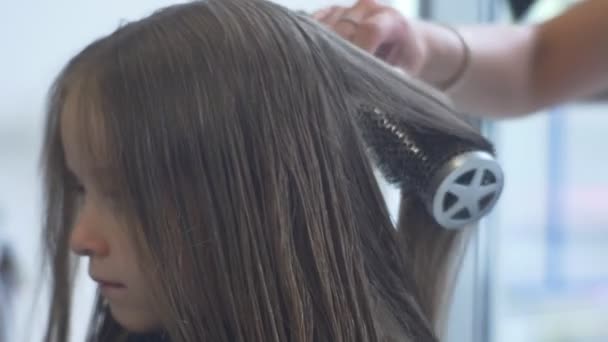 Professionella frisören klipper ett hår av flicka — Stockvideo