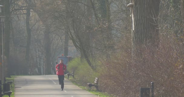 Mannen gör en joggingtur på Central City Park — Stockvideo