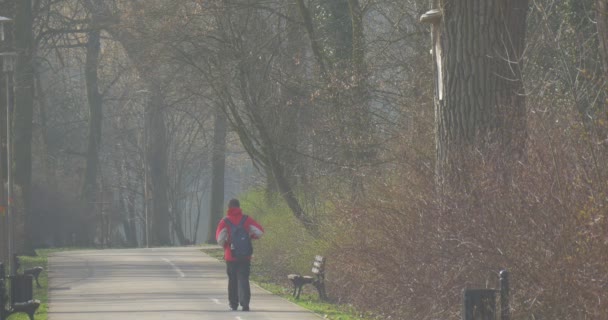 Dorosły człowiek idzie przez aleję — Wideo stockowe