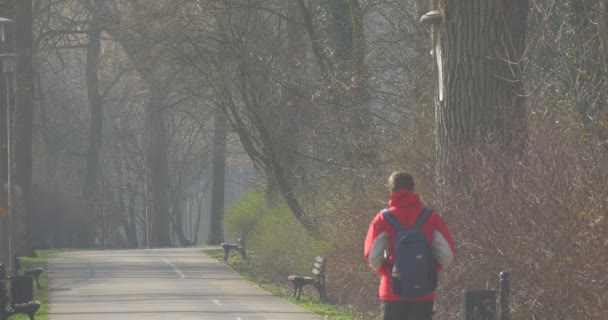 Высокий человек идет по асфальтированной дороге в Центральный парк города Ополе — стоковое видео