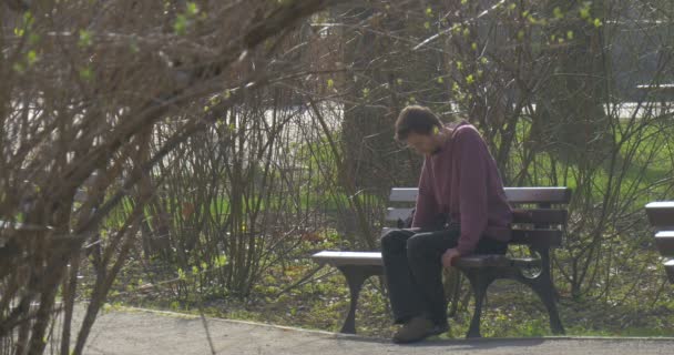 Young Man Waits For Arrival of Friends on a Bench — Stock Video