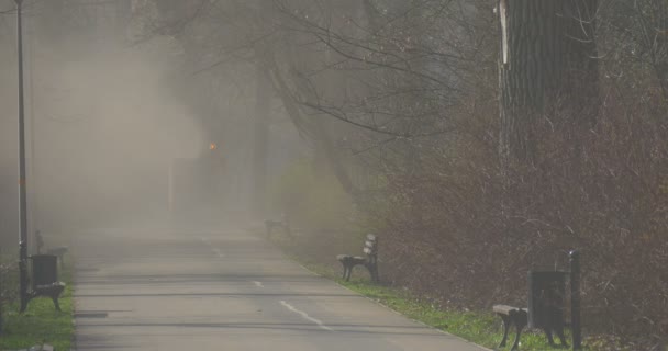 Papeleras de basura, viejos bancos de madera y plantas altas sin hojas se encuentran lejos de la carretera pavimentada — Vídeos de Stock