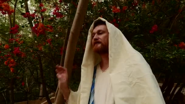 老犹太人附近灌木丛与花 — 图库视频影像
