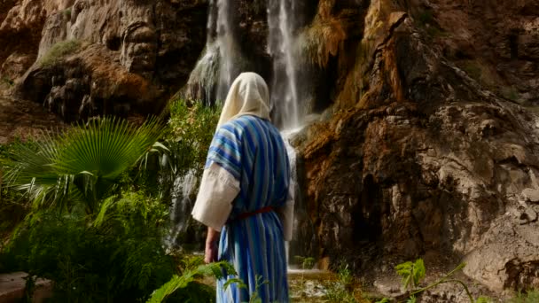 L'homme fait face à la cascade . — Video