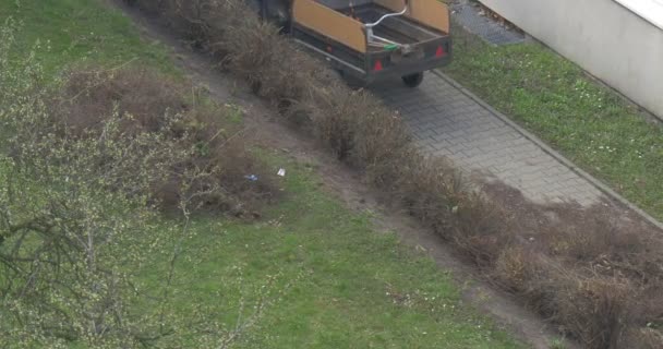 Man får en manuell gräsklippare från bagage av bil — Stockvideo