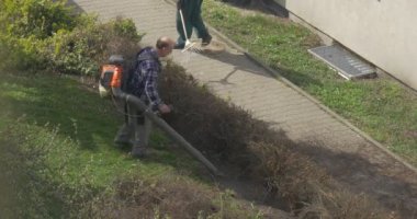 Darbeler uzakta bir çöp ve bir solmuş yapraklar From Under çalılar ile yardım, endüstriyel bir elektrikli süpürge adamdır