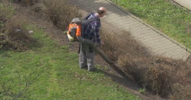 Man rengör fallna bladen från under en buskar — Stockvideo