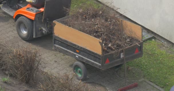 Hombre agarra una rama de plantas con ayuda de pala — Vídeo de stock