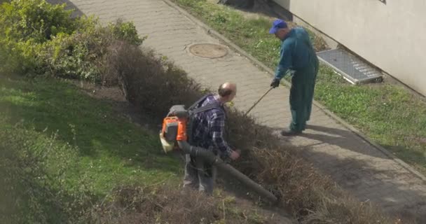 Dělníci zabývající se Ennoblement zelených ploch ve městě Opole ve městě dne — Stock video