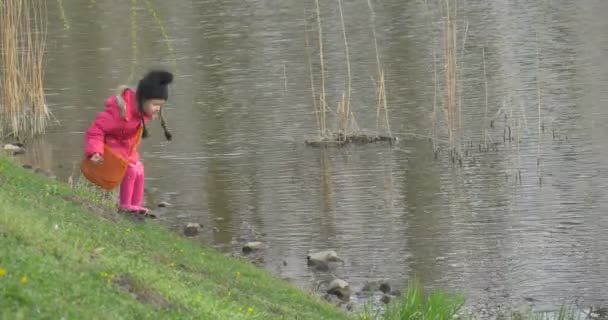 La petite fille joue sur la côte de la petite rivière — Video