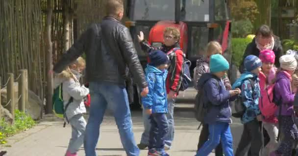 Promenade des enfants autour du zoo . — Video