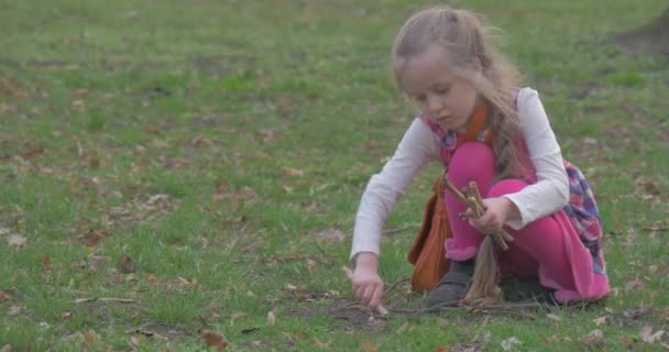 Fille creuse un trou dans le sol au moyen d'un bâton — Video