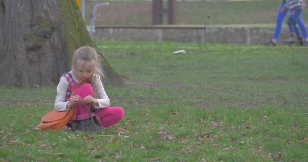 Dívka odtržení kůry z hole rostlin a sbírá ji do sáčku — Stock video