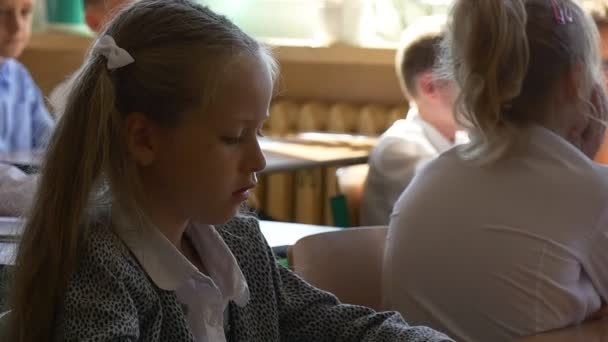 Leerlingen van de eerste klassen zijn studie boekje — Stockvideo