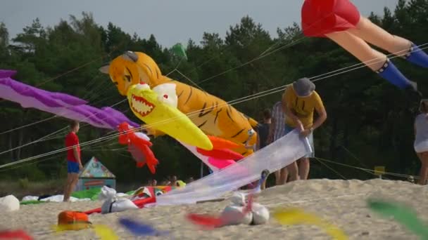 Жители города Леба проводят время на пляже у Балтийского моря во время проведения фестиваля воздушных змеев — стоковое видео