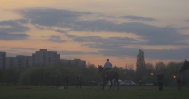 Opole Polonia Maggio 2016 Due Uomini Cavallo Che Passano Attraverso — Video Stock