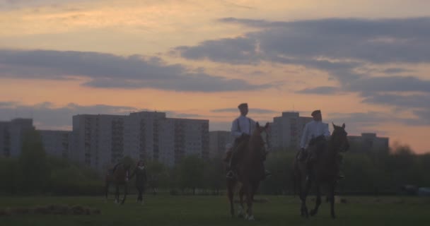 Opole Poland May 2016 Two Cavalry Horseback Coming Camera 女人牵着马牵着缰绳城中夜空下的两名骑手 — 图库视频影像