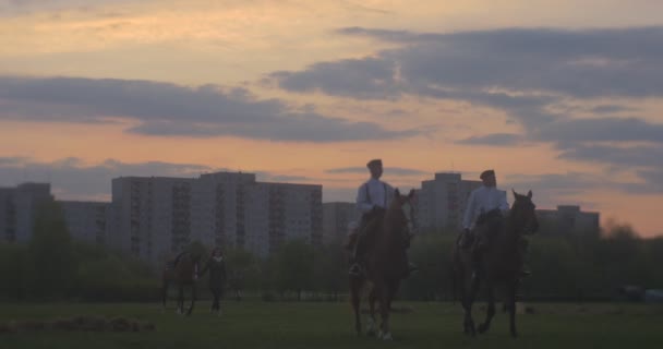 Opole Polsko Květen 2016 Dvě Jízdy Koni Blíží Kameře Žena — Stock video