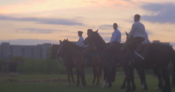 Opole Poland May 2016 Side View Troopers White Shirts Horseback — Stock Video