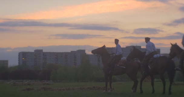 Opole Polen Maj 2016 Kavallerister Står Gröna Gräsmattan Sidovy Över — Stockvideo