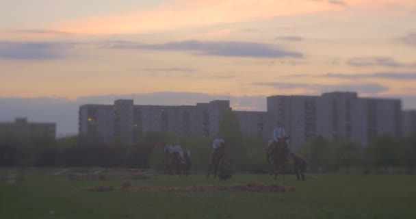 Opole Poland May 2016 Horses Jumping Barrier 波兰国旗日的活动 骑手骑着马 跳过一根木棍 — 图库视频影像