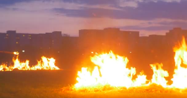Ополе Польша Мая 2016 Тюки Сжигания Сена Поле Пожар Фоне — стоковое видео