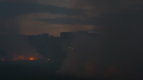 家の近くのフィールドの煙の雲 煙で覆われた都市の郊外のオープンエリア 乾燥した草の2つのヒープをばらすこと — ストック動画