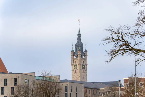 Modern şehir binalarının ve ağaç dallarının üzerinde yükselen Gotik belediye saat kulesinin manzarası.