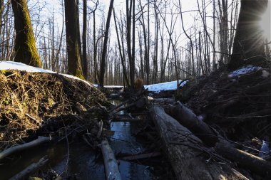 windbreakage kirli Nehri üzerinde 