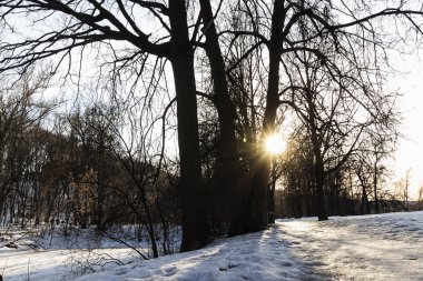 erken ilkbaharda peyzaj